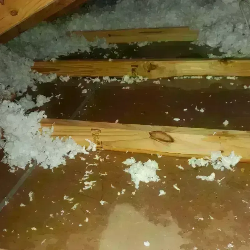 Attic Water Damage in Elma, WA