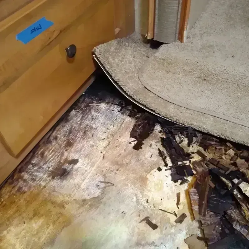 Wood Floor Water Damage in Elma, WA